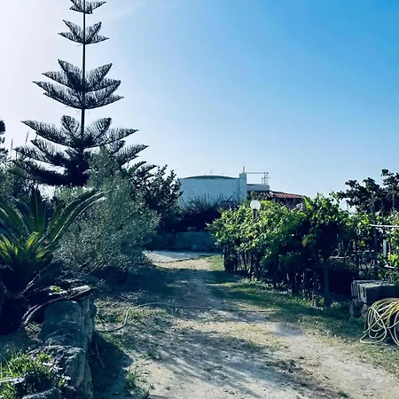 Casa - O Chian 'e Zizza Moscia Forio (Isola d'Ischia)