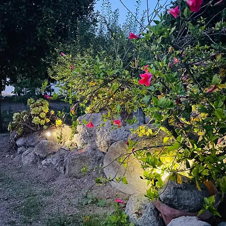 Casa - O Chian 'e Zizza Moscia Apartment Forio (Isola d'Ischia)