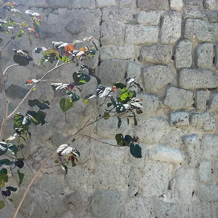 Casa - O Chian 'e Zizza Moscia Forio (Isola d'Ischia)