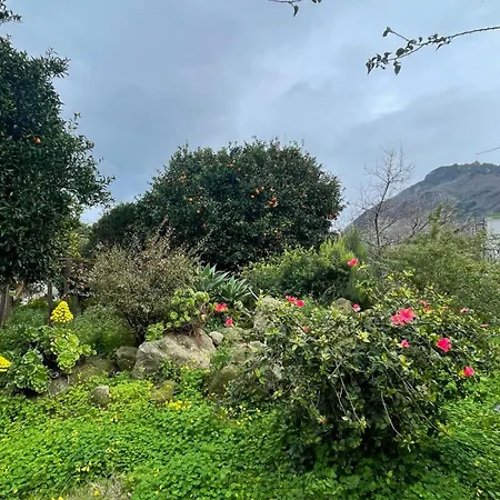 Casa - O Chian 'e Zizza Moscia Forio di Ischia