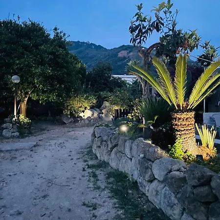 Casa - O Chian 'e Zizza Moscia Lägenhet Forio di Ischia