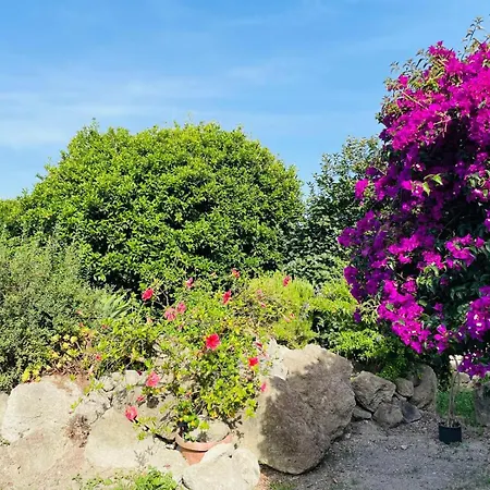 Lägenhet Casa - O Chian 'e Zizza Moscia *